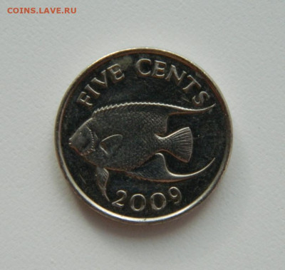 Бермудские острова 5 центов 2009 г. (Фауна). до 04.02.21 - DSCN5984.JPG