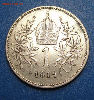 1 крона 1914 Австро-Венгрия до 06.02.2021 г. в 22.00 - DSC03753.JPG