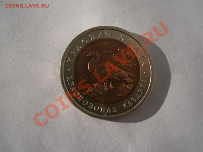 Красная книга 1992 г. - P9300031.JPG
