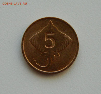 Исландия 5 эйре 1981 г. (Фауна) до 04.02.21 - DSCN6103.JPG
