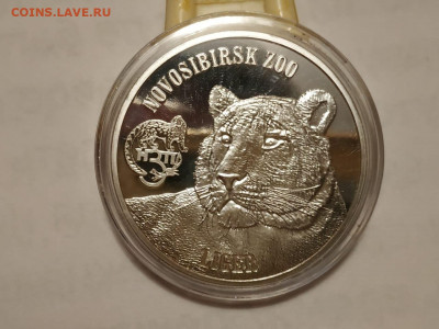 Виргинские о-ва, Н-ский зоопарк, Лигр, до 04.02 - 21:00 Мск - 4faa9048-dd3f-47e2-963c-6e0944153c81