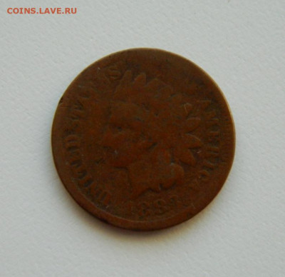 США 1 цент 1883 г. (Индеец). до 04.02.21 - DSCN6063.JPG