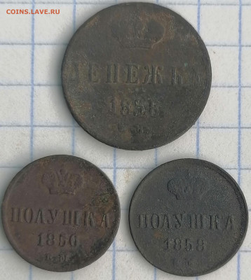 денежка 1858 ем полушка 1856 ем, 1858 ем 4.02.21 22.00 мск - IMG_20210201_123605
