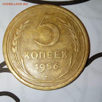 5 коп 1956г. До 04.02.В 21-00 МСК. - i (12)
