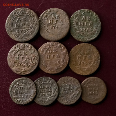 Денга Полушка 1731-1749 на оценку - AMR_7626