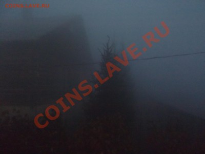 ЛЕСНЫЕ ПОЖАРЫ БРАТСКИЙ РАЙОН ИРКУТСКОЙ ОБЛАСТИ - DSCF0410.JPG