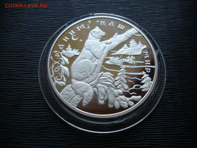 25 рублей 1997г. Серебро. СНМ. Соболь. До 09.02 - соболь (2).JPG
