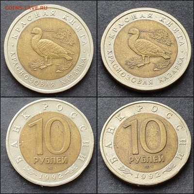 Краснозобая Казарка 10 рублей 1992 год. До 09.02 - IMG_20210203_174606