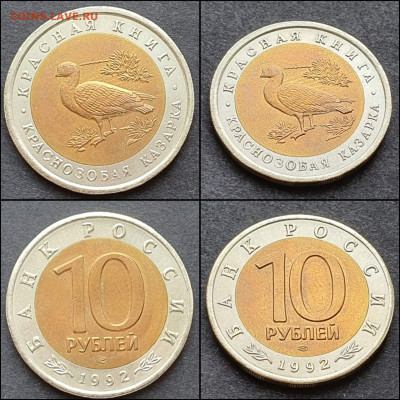 Краснозобая Казарка 10 рублей 1992 год. До 09.02. N2 - IMG_20210203_174607