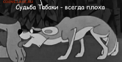 Про Беларусь - урбанус