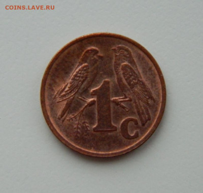 Южная Африка 1 цент 2001 г. (Фауна) до 09.02.21 - DSCN6203.JPG