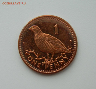 Гибралтар 1 пенни 2000 г. (Фауна) до 09.02.21 - DSCN6186.JPG