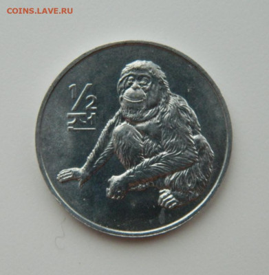 2 чона 2002 г.(Юбилейная) Фауна до 09.02.21 - DSCN6139.JPG
