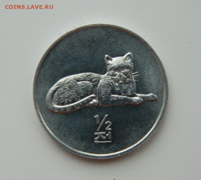 2 чона 2002 г.(Юбилейная) Фауна до 09.02.21 - DSCN6149.JPG