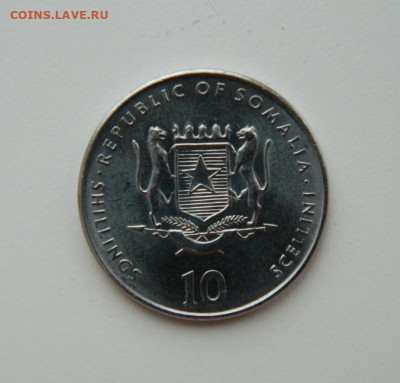 Сомали 10 шиллингов 2000 г.(Юбилейная) Фауна до 09.02.21 - DSCN6152.JPG
