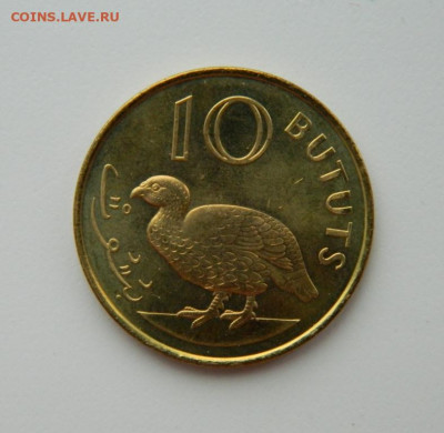 Гамбия 10 бутут 1998 г. (Фауна) до 09.02.21 - DSCN6148.JPG