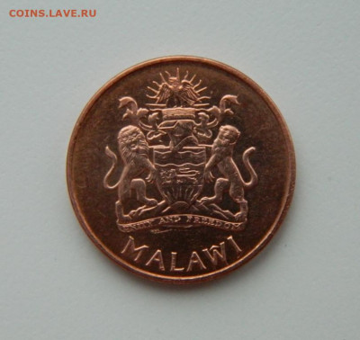 Малави 2 тамбалы 2003 г. (Фауна) до 09.02.21 - DSCN6160.JPG