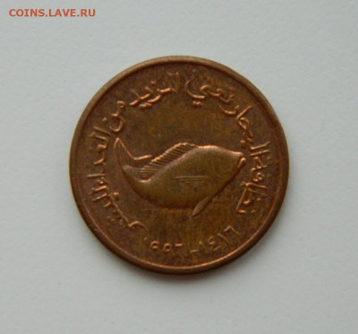 ОАЭ 5 филсов 1996 г. (Фауна). до 09.02.21 - DSCN6215.JPG