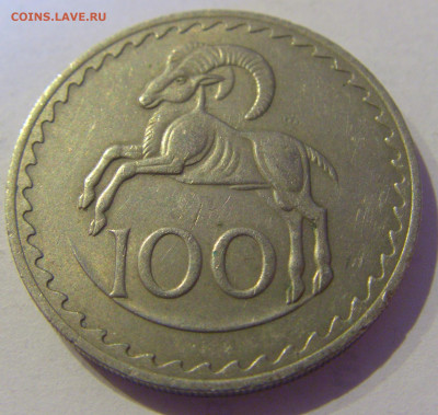 100 милс 1971 Кипр №1 11.02.2021 22:00 МСК - CIMG1018.JPG