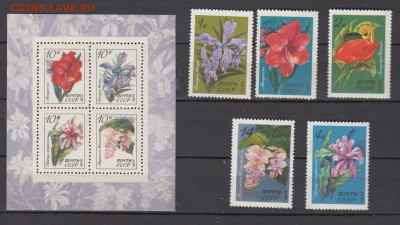 СССР 1971 цветы 5м+блок ** до 09 02 - 236