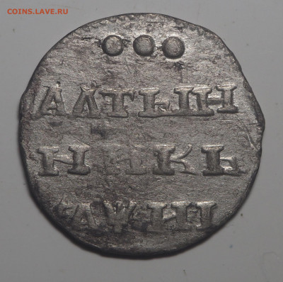 Алтынник 1718 - P1300454