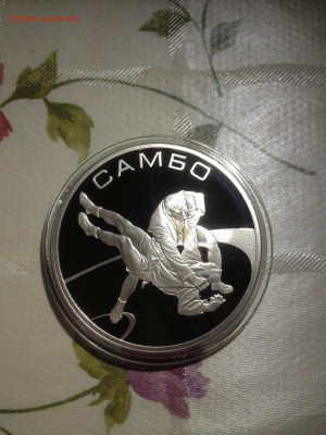 3 руб. Самбо, 2013 до 12.02 - cy7Wya_vbFk