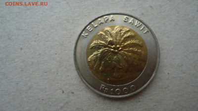 ИНДОНЕЗИЯ 1000 РУПИЙ 1993 БИМЕТАЛЛ - DSC09694.JPG