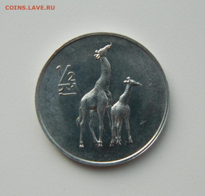 2 чона 2002 г.(Юбилейная) Фауна до 11.02.21 - DSCN6275.JPG