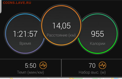 Кто-нибудь бегает? - Screenshot_20210207-120712_Connect