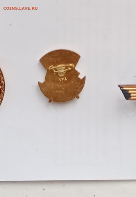 Знак отличнику здрвоохранения недорого до 12.02.21 в 22.00 п - IMG_20210207_125803