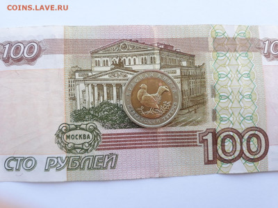 КК 50 р Кавказский тетерев(кор.аук) до 09.02.2 г 22:00(мск) - 20210207_141747
