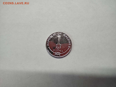 Мальдивы, 1 руфия, до 09.02.21г.. - IMG_20210207_132100_thumb