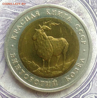5 рублей 1991 года Винторогий козел до 10.02.2021 - IMG_20210207_174650