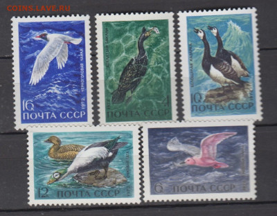 СССР 1972 птицы 5м** до 14 02 - 258