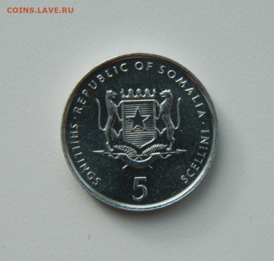 Сомали 5 шиллингов 2000 г. (Фауна) ФАО до 11.02.21 - DSCN6293.JPG