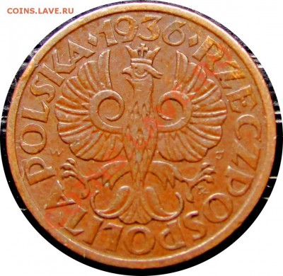D41 Польша 1 грош 1936  до 11.10 в 22°° - D41 1 gr 1936_2