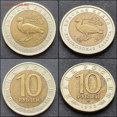 Краснозобая Казарка 10 рублей 1992 год. До 16.02. N5 - IMG_20210203_174612