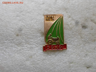 ССХО МГУ Нечастый - SAM_6908.JPG