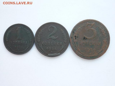 1, 2, 3 копейки 1924г., до 14.02.21г., 21.00 - P1110663.JPG