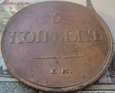 5 копеек 1831 ЕМ. До 14.02. в 22.00 - 1831 1