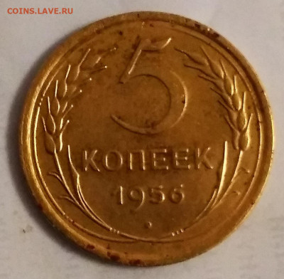 5 копеек 1956 г - IMG_20210211_201645