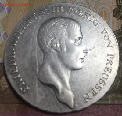 1 таллер 1810 - 2BB6E07B-21AE-41F7-91DA-A8187942950D