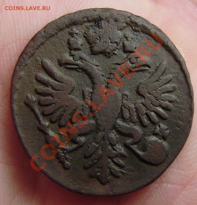 Денга 1731г. 4 шт. и ни одной одинаковой. Оценка. - P9090004.JPG