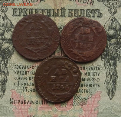 Денга 1744. 45. 46. г. до 16.02 в 22.00 - DSCN1411.JPG