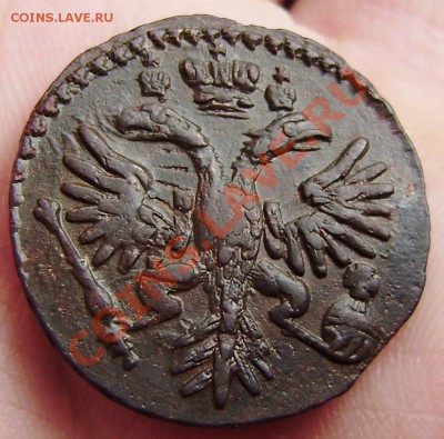 Денга 1731г. 4 шт. и ни одной одинаковой. Оценка. - P9090008.JPG
