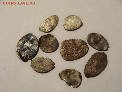 лом из 9 чашуек - DSC03430.JPG