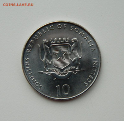 Сомали 10 шиллингов 2000 г.(Юбилейная) Фауна до 17.02.21 - DSCN6608.JPG
