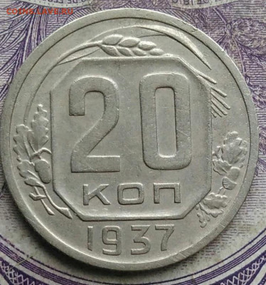 20 копеек 1937 года 17.02.2021 - IMG_20210213_154751