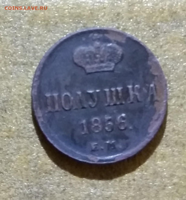 Полушка 1856 года - IMG_20210214_113322~2
