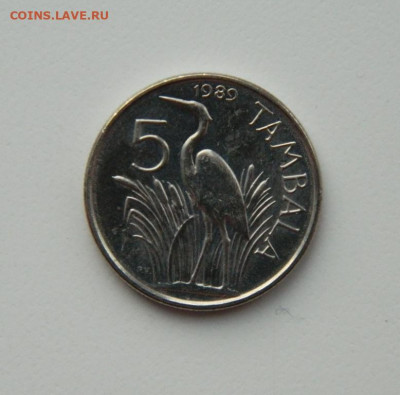 Малави 5 тамбала 1989 г. (Фауна) до 17.02.21 - DSCN6645.JPG